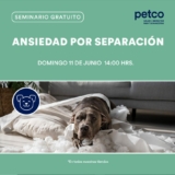 Seminarios Petco de fin de semana: Ansiedad por separación de tu perro, conoce las tarántulas y más