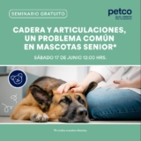 Seminarios Petco de fin de semana: Problemas de cadera y articulaciones en mascotas senior y Cuidados básicos para los reptiles