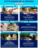 Aprendiendo con Petco Gratis Fin de semana 24 y 25 de enero 2026