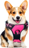 Arnés pechera de perro ajustable baja a un excelente precio