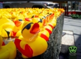 Promoción Antara de patito de hule de regalo en compras de $50 o más