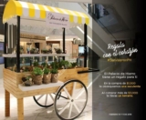 Promoción Palacio de Hierro San Valentín: Suculentas y terrarios de regalo con tus compras este fin de semana