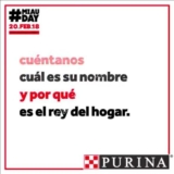 Promoción Purina Día del Gato: Sube foto de tu gato y obtén un paper toy digital personalizado de tu gato