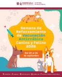 En CDMX vacunación antirrábica Gratis para perros y gatos