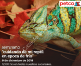 En Petco seminarios gratis “Cuidando de mi reptil en época de frío” y “Festividades tranquilas y seguras” hoy domingo 9 de diciembre