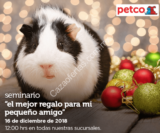 En Petco seminario gratis “El mejor regalo para mi pequeño amigo” hoy domingo