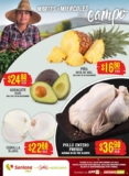Martes y Miércoles del Campo Soriana 25 y 26 de noviembre: ofertas en frutas y verduras