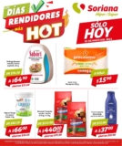 Folleto Soriana Días Rendidores Hot Sale 25 de mayo 2021