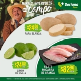 Folleto Soriana Super Martes y Miércoles del Campo 4 y 5 de abril 2023