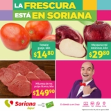 Folleto Soriana Súper Martes y Miércoles del Campo 1 y 2 de agosto 2023