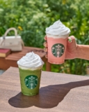 Frappuccinos a sólo $49 hoy en Starbucks