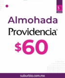 Artículo de la Semana Suburbia: Almohada Providencia a $60