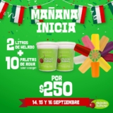 Promoción Helados Sultana Fiestas Patrias: 2 litros de helado + 10 paletas por $250