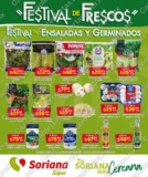 Folleto Soriana Super Festival de Frescos del 10 al 16 de noviembre 2020