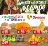 Folleto Soriana Super Martes y Miércoles del Campo 1 y 2 de junio 2021