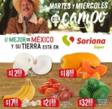 Folleto Soriana Super Martes y Miércoles del Campo 3 y 4 de agosto 2021