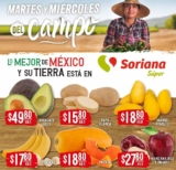 Folleto Soriana Super Martes y Miércoles del Campo 11 y 12 de mayo 2021