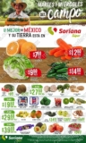 Folleto Soriana Super Martes y Miércoles del Campo 16 y 17 de marzo 2021
