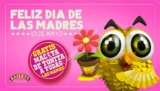 Promoción Día de las Madres la Chilanguita: maceta Gratis el 10 de mayo
