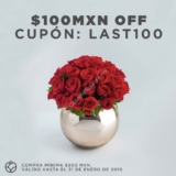 Cupón EnviaFlores.com de $100 de descuento en compras de $900 o más