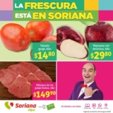 Ofertas Soriana Martes y Miércoles del Campo 1 y 2 de agosto 2023