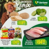 Folleto Soriana Súper Martes y Miércoles del Campo 14 y 15 de marzo 2023