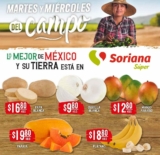 Folleto Soriana Super Martes y Miércoles del Campo 15 y 16 de junio 2021