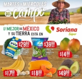 Folleto Soriana Super Martes y Miércoles del Campo 18 y 19 de mayo 2021