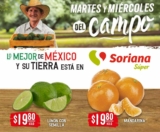 Folleto Soriana Super Martes y Miércoles del Campo 2 y 3 de noviembre 2021