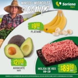 Folleto Soriana Súper Martes y Miércoles del Campo 3 y 4 de enero 2023