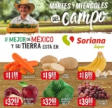 Folleto Soriana Super Martes y Miércoles del Campo 31 de agosto al 1 de septiembre 2021