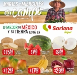 Folleto Soriana Super Martes y Miércoles del Campo 6 y 7 de julio 2021