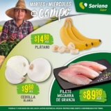 Folleto Soriana Súper Martes y Miércoles del Campo 7 y 8 de marzo 2023