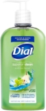 Jabón líquido para manos Dial Superior Clean Antibacterial Uva Verde y Pera 460ml baja de precio