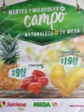 Ofertas Soriana Martes y Miércoles del Campo 2 y 3 de abril 2019