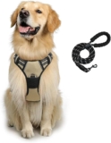Pechera ajustable para perro con correa baja de precio