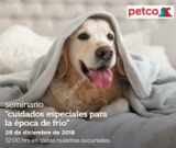 En Petco seminario gratuito «Cuidados especiales para la época de frío» hoy sábado