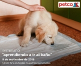 Seminarios Petco «Aprendiendo a ir al baño» y «hablando de talla y nutrición en conejos» hoy domingo