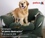 En Petco seminario gratuito «Perro destructor» hoy domingo a las 14:00 y «Necesidades de las Tortugas» a las 12:00