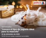 En Petco seminario gratuito «Juguete ideal para tu mascota» hoy sábado