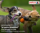 En Petco seminarios gratis «El perro posesivo» y «peces tropicales y el invierno» hoy domingo