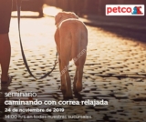 Seminarios Petco de hoy domingo: Caminando con correa relajada y lagartos y sus cuidados