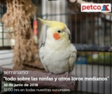 En Petco seminarios gratis «No más brincos» y «todo sobre las ninfas y otros loros medianos» hoy domingo