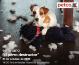 Seminarios gratuitos Petco «El Perro Destructor», «Rascadores y muebles para gatos» y más hoy domingo