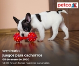 Seminarios Petco fin de semana: «juguete ideal para tu mascota», «juegos para cachorros» y «Alimentación para hurones»