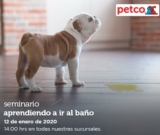 Seminarios Petco fin de semana: «Aprendiendo a ir al baño», «alimentos Whole Hearted» y «peces cíclidos»