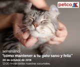 En Petco Seminarios gratuitos: «Cómo mantener a tu gato feliz» y «arena Naturally Fresh»