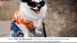 En Soriana hasta 70% de descuento en ropa y accesorios para mascota