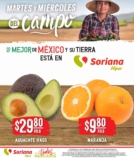 Ofertas Soriana Martes y Miércoles del Campo 4 y 5 de enero 2022