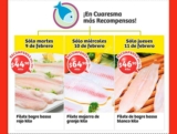 Ofertas de Cuaresma Soriana del 9 al 11 de febrero: filete de pescado bagre bassa a $44.90 el kilo